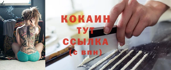 хмурый Новозыбков