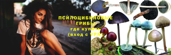 хмурый Новозыбков