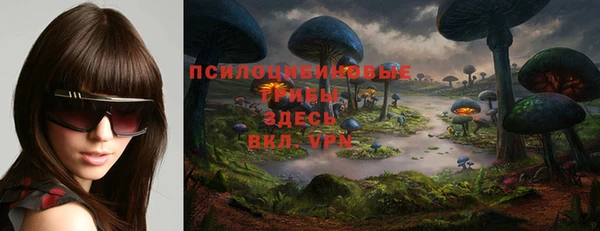 мдпв Новокубанск